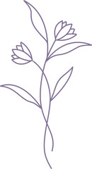 Minimalist Flower Line Art Element