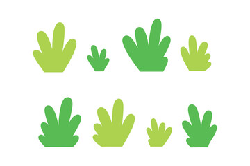 Fototapeta premium Various shades of green bushes and plants for garden design and landscape elements.