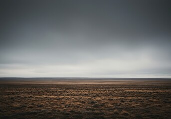 A vast, muted landscape under a thick, cloudy sky, evoking a sense of calm and quiet solitude. The soft light illuminates nature's subtle colors ,quiet ,cloudy day ,vast