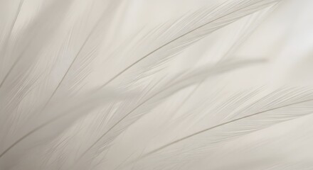 Extreme close-up macro texture of delicate, flowing pale gray and white down feathers.