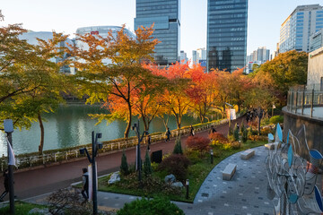 Magnificent autumn colors of the trees in a park with a lake and skyscrapers in the background, Seoul, South Korea