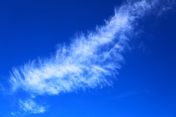 青空とユニークな巻雲