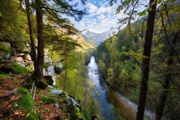 Stunning view of mountains rising above dense green forests. Serene nature scenery reflecting freshness, tranquility, and the majestic beauty of the wilderness in bright natural light.