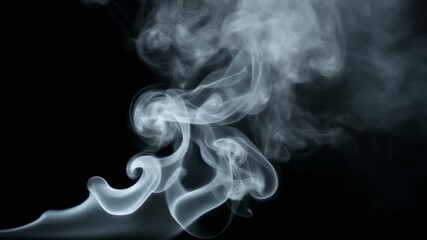 Elegant wisps of white smoke gracefully swirling and curling against a stark black background, creating an abstract and artistic visual effect