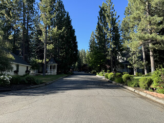 empty residential street in a rural mountain town, surrounded by pine trees beneath a blue summer sky - Big Bear Lake, California, USA
