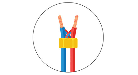 Electrical wiring connection with wire nut, showing red and blue wires joined.