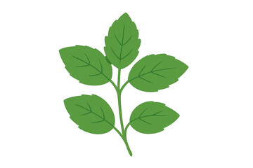 Green plant sprig with fresh leaves, representing nature, growth, and organic concepts on a transparent background