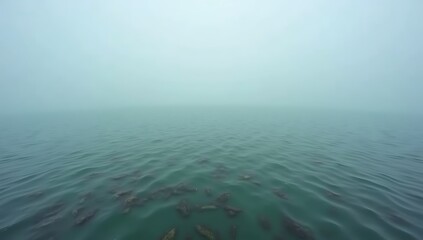 Obraz premium A murky, lifeless expanse of ocean water symbolizing an expanding ocean dead zone devoid of oxygen and marine life due to pollution and warming seas. 