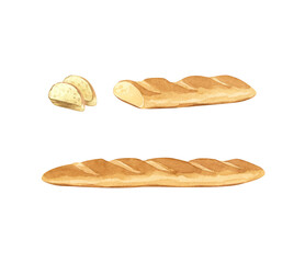 A fresh loaf of crispy bread baked from wheat flour. Hand-painted with watercolors.