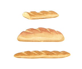 A fresh loaf of crispy bread baked from wheat flour. Hand-painted with watercolors.