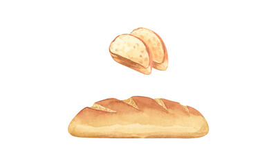 A fresh loaf of crispy bread baked from wheat flour. Hand-painted with watercolors.