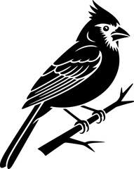 cardinal silhouette vector illustration