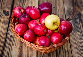 Apple fruit vitamin. Apple orchard in morning. Autumn fruit farming. Health and diet. Summer harvest. Harvest in autumn orchard. Apple fruit. Orchard with ripe apple in basket. Food market