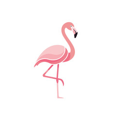 Fototapeta premium Pink Flamingo Standing