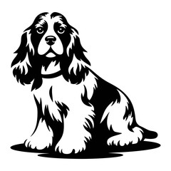 American Cocker Spaniel