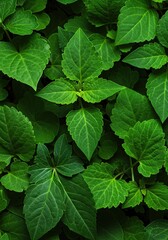 A vibrant, seamless botanical pattern featuring lush green leaves of various shapes and sizes, creating an organic and natural background ,leaf ,seamless ,natural