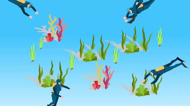 Scuba Divers Exploring the Underwater Seaweed and Coral Reef Landscape 3d animation cartoon