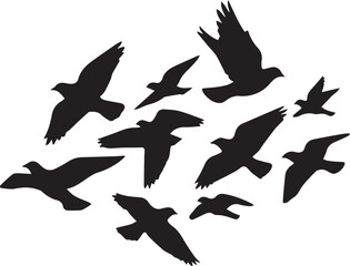 Flock of Silhouetted Birds in Flight Keywords: birds, flock, flying, flight, silhouette, black