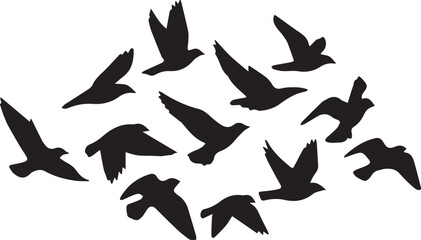 Group of Silhouetted Birds in Mid- Flight Keywords: birds, flock, flying, flight, silhouette