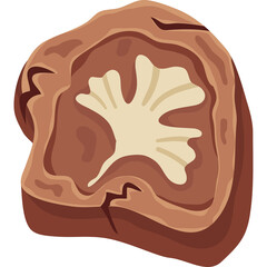 Cross section of a dried fruit showing layers of brown and beige textures with a light cream center revealing a unique organic pattern on a transparent background