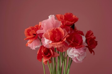 Fototapeta premium A vibrant bouquet of delicate pink and red poppies with thin green stems arranged against a soft dusty rose background