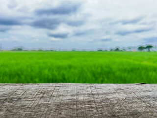 Side view of wooden table with rice field and sky on the background. green. clouds. trees. copy space or free space for product display concept. focus on table. close up.