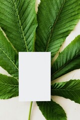 Blank Card On Green Leaves