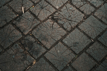 Wooden Pathway Texture Outdoors. Design, architecture, idea, concept