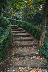 Stone Garden Path. Rustic Steps through Greenery