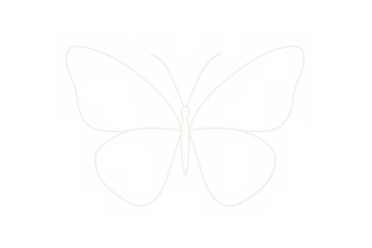 Glowing light effect on butterfly outline, neon drawing of a stunning insect with a clear background