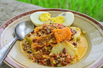 Extreme close up view of Lontong Opor Ayam. Indonesian traditional food, made from chicken cooked with coconut milk and spices. Popular during Eid al Fitr. spoon, stainless steel.