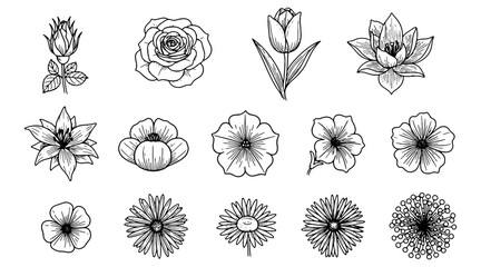 Flower line art collection