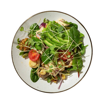 Vibrant and fresh green salad with avocado and sprouts on a white plate offering a healthy and nutritious meal option