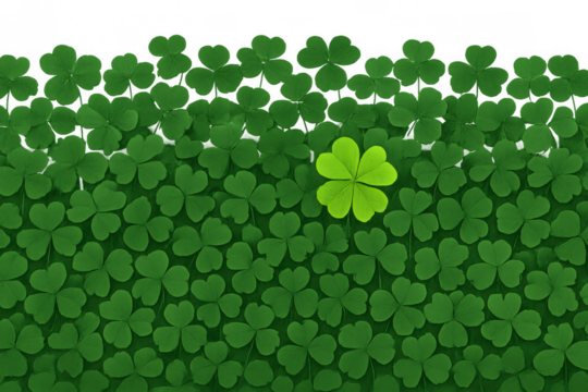 Four leaf clover standing out from a field of green shamrocks, symbolizing luck, unique opportunities, and fortune. Transparent background