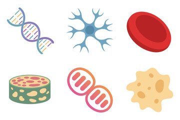Flat color icons for biological elements, illustrating dna, cell, blood, representing science, research, and life,