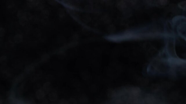 Swirling steam. Ink water. Defocused purple neon color smoke vapor texture acrylic fog blend smog spreading on dark black art creative abstraction.