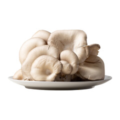 A close up studio shot of a cluster of fresh white oyster mushrooms artfully arranged on a white plate against a stark black background