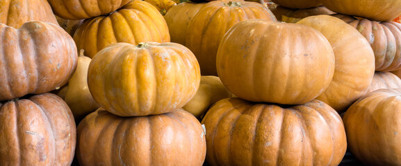 Pile of large autumn pumpkins stacked together under soft natural light, showing warm earthy tones and smooth textures. Image
