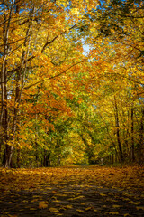 Landschaft im Herbst