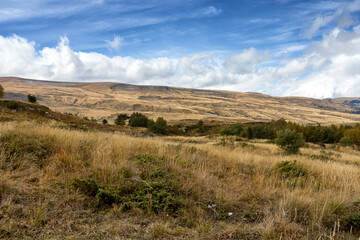 Autumn walks in the nature park in the morning in the countryside in the rays of the rising sun and a little fog