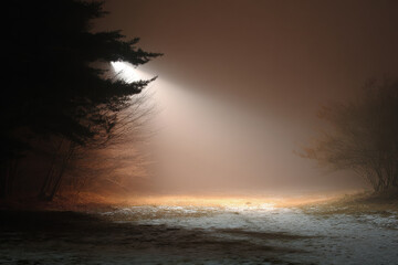 bright flashlight pierces through thick fog in cold winter forest illuminating snowcovered ground and trees