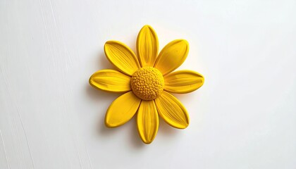Sunny yellow daisy flower on bright white surface