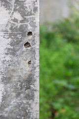 Fototapeta premium Vertical close-up of a gray concrete pillar with texture and small holes, blurred green background