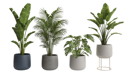 Obraz premium Bring fresh botanical style indoors with these lush potted plants perfect for modern interiors and creating inviting spaces