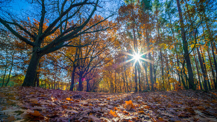 Landschaft im Herbst