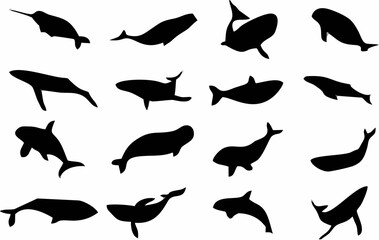 Sixteen Black Whale Silhouett...