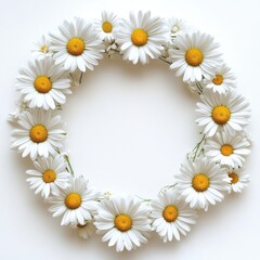 Fototapeta premium White daisies arranged in a wreath frame, isolate on white background.
