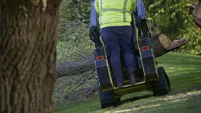 Worker operating a small tracked loader , mini skid steer equipped with a clamp or grapple attachment, lifting and removing a cut tree trunk in a park or wooded area
