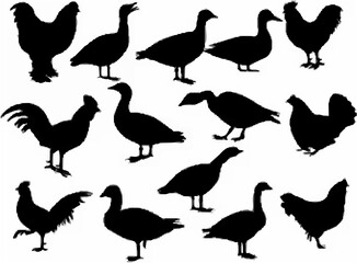 Bird Silhouettes Collection V...