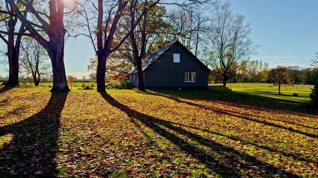 Drone pan across rustic barn as golden sunlight casts long shadows over fallen autumn leaves